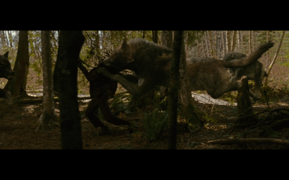 The Twilight Saga New Moon - 595