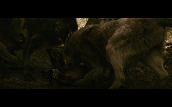 The Twilight Saga New Moon - 596