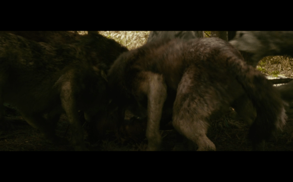 The Twilight Saga New Moon - 597