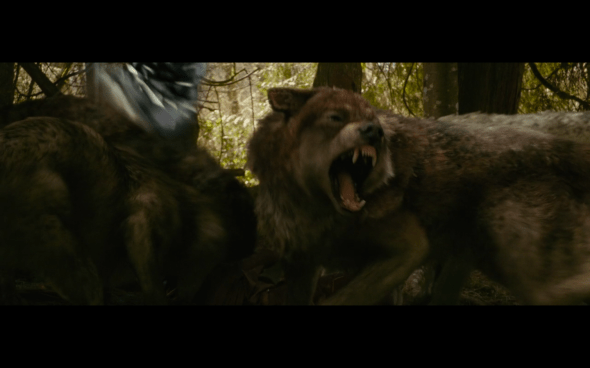 The Twilight Saga New Moon - 598