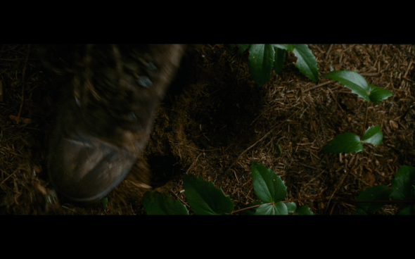 The Twilight Saga New Moon - 613