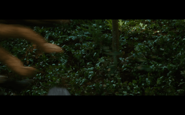 The Twilight Saga New Moon - 631