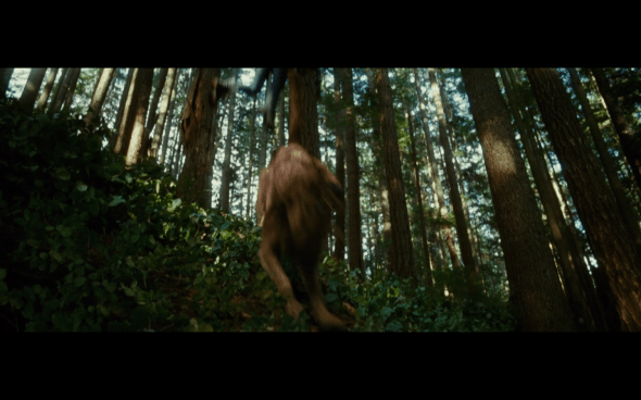 The Twilight Saga New Moon - 632