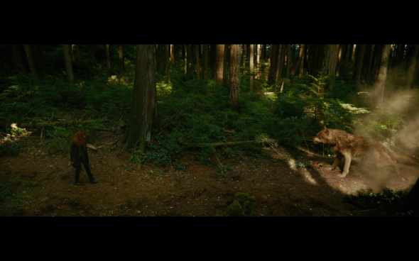 The Twilight Saga New Moon - 637