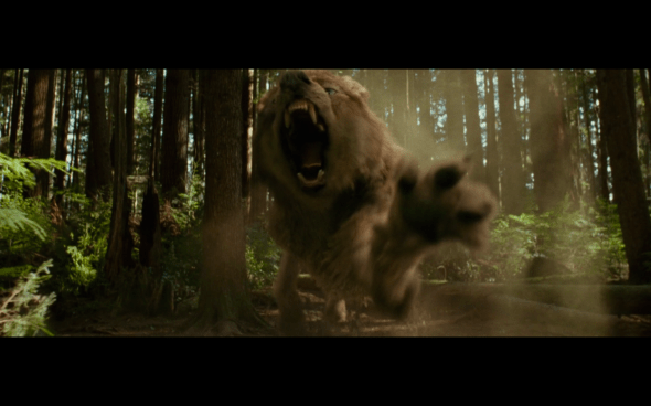 The Twilight Saga New Moon - 638