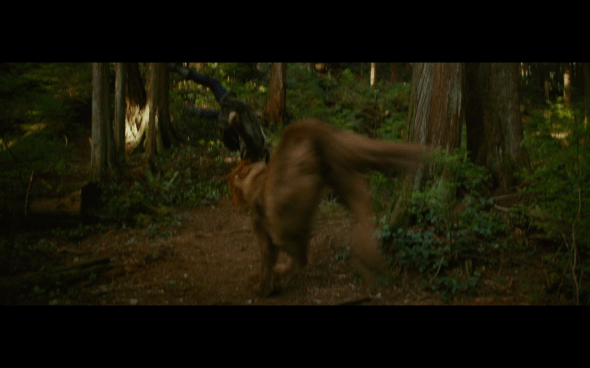 The Twilight Saga New Moon - 641