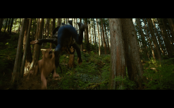 The Twilight Saga New Moon - 643