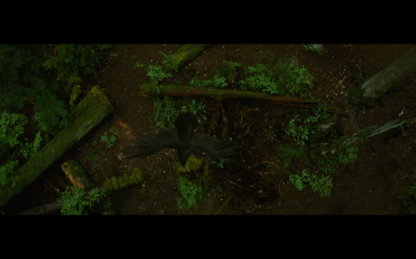 The Twilight Saga New Moon - 646