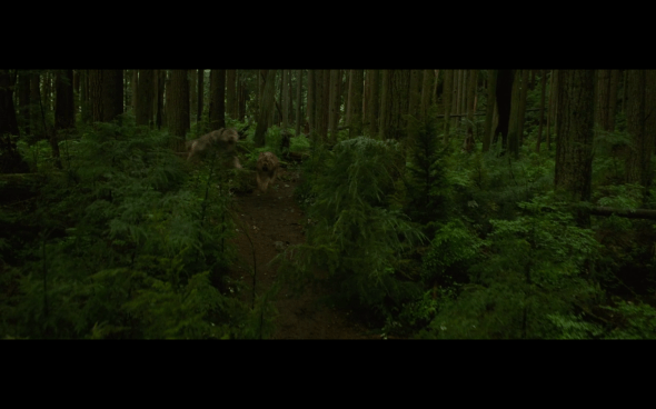 The Twilight Saga New Moon - 648