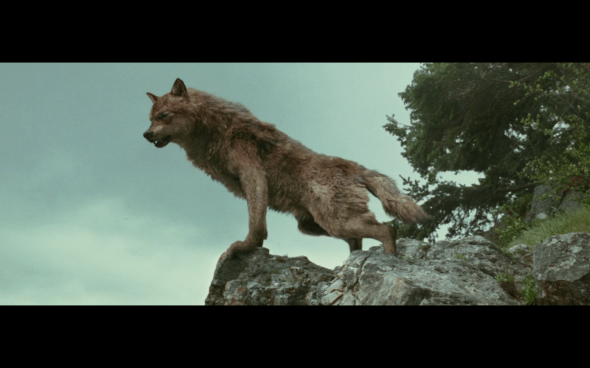 The Twilight Saga New Moon - 655