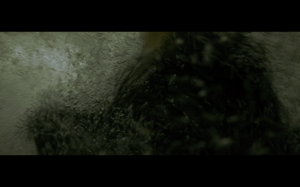 The Twilight Saga New Moon - 668