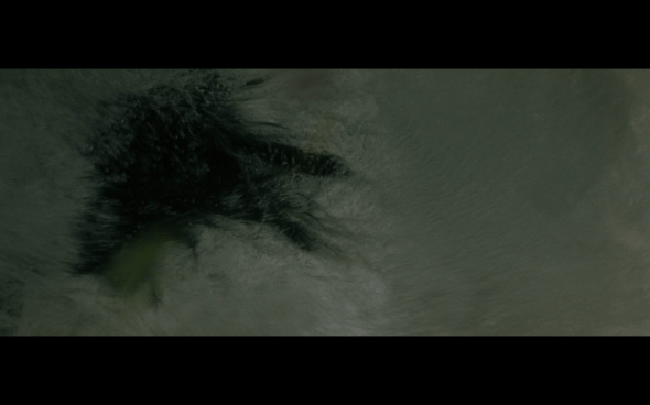 The Twilight Saga New Moon - 678
