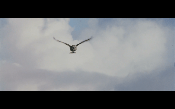 Harry Potter and the Sorcerer's Stone - 102