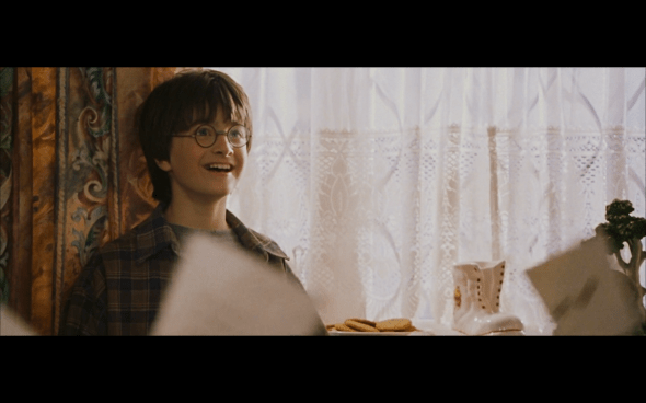 Harry Potter and the Sorcerer's Stone - 119
