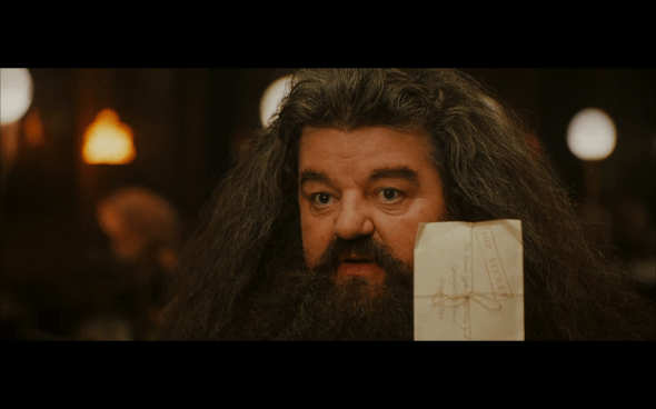 Harry Potter and the Sorcerer's Stone - 162