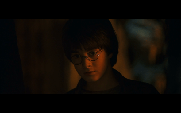 Harry Potter and the Sorcerer's Stone - 171