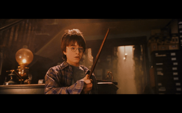 Harry Potter and the Sorcerer's Stone - 181