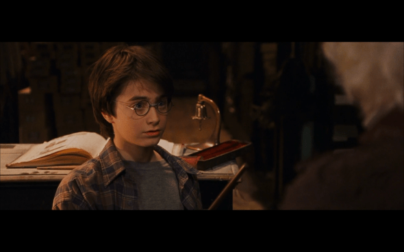 Harry Potter and the Sorcerer's Stone - 182