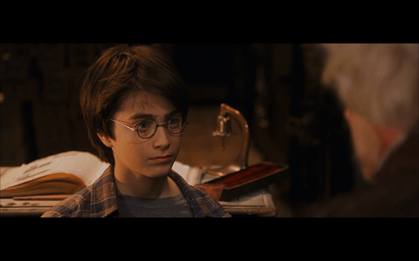 Harry Potter and the Sorcerer's Stone - 186