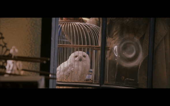 Harry Potter and the Sorcerer's Stone - 187