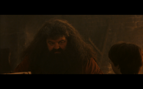 Harry Potter and the Sorcerer's Stone - 189