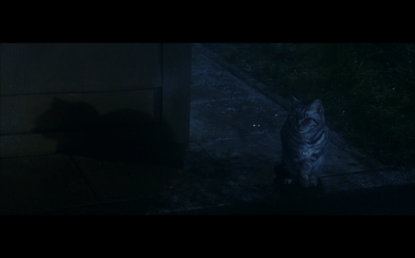 Harry Potter and the Sorcerer's Stone - 20