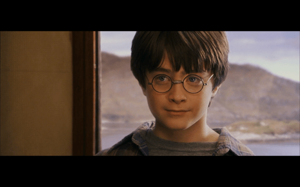 Harry Potter and the Sorcerer's Stone - 239