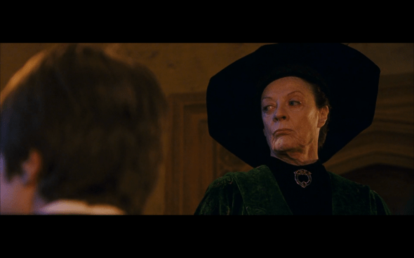 Harry Potter and the Sorcerer's Stone - 258