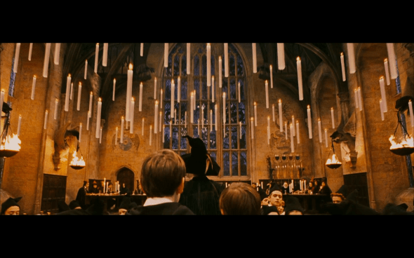 Harry Potter and the Sorcerer's Stone - 262