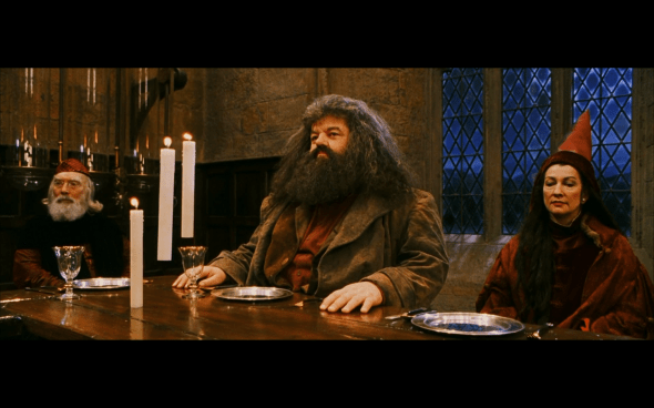 Harry Potter and the Sorcerer's Stone - 265