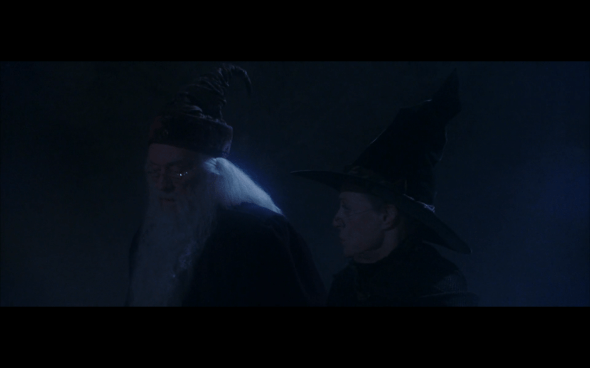 Harry Potter and the Sorcerer's Stone - 28