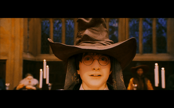 Harry Potter and the Sorcerer's Stone - 286
