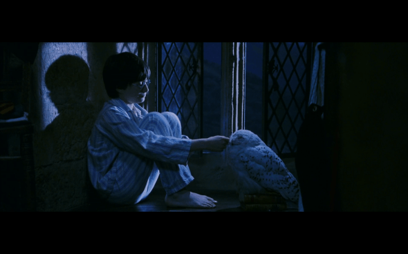 Harry Potter and the Sorcerer's Stone - 303