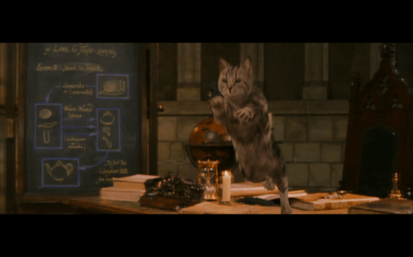 Harry Potter and the Sorcerer's Stone - 307