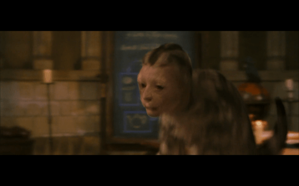 Harry Potter and the Sorcerer's Stone - 308