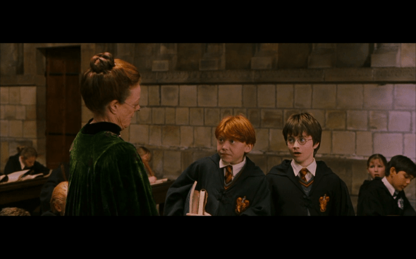 Harry Potter and the Sorcerer's Stone - 309
