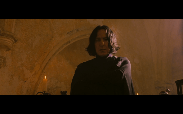 Harry Potter and the Sorcerer's Stone - 313