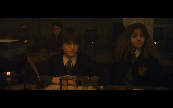 Harry Potter and the Sorcerer's Stone - 316