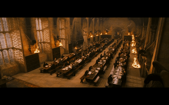 Harry Potter and the Sorcerer's Stone - 318