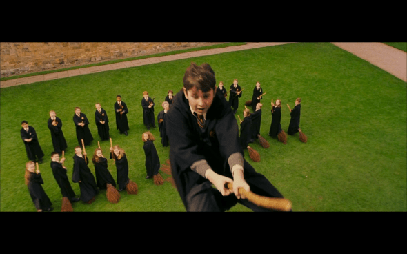 Harry Potter and the Sorcerer's Stone - 329