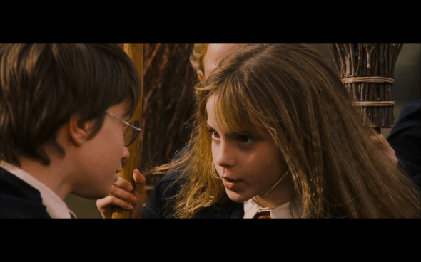 Harry Potter and the Sorcerer's Stone - 340