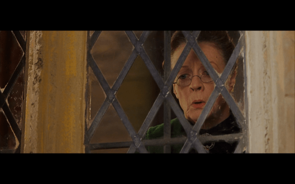 Harry Potter and the Sorcerer's Stone - 350