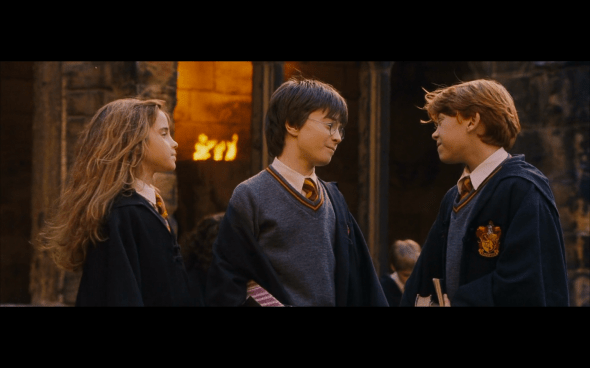 Harry Potter and the Sorcerer's Stone - 353