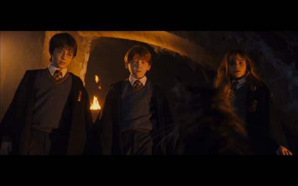 Harry Potter and the Sorcerer's Stone - 359