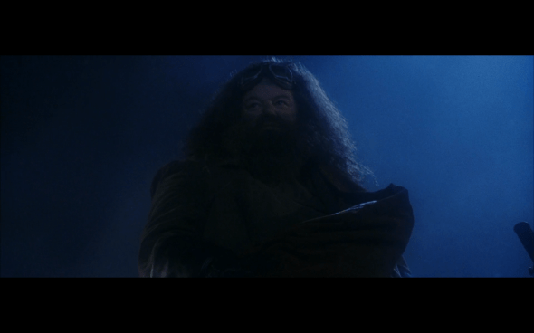 Harry Potter and the Sorcerer's Stone - 36