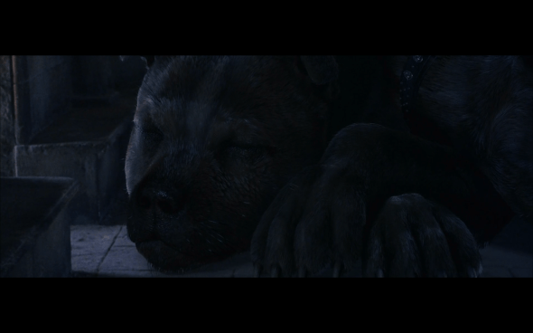 Harry Potter and the Sorcerer's Stone - 363