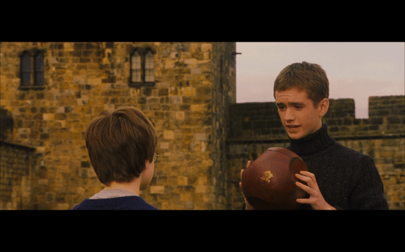 Harry Potter and the Sorcerer's Stone - 371