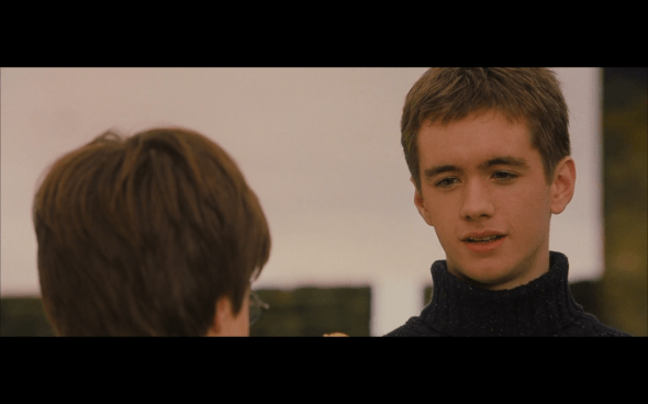 Harry Potter and the Sorcerer's Stone - 378