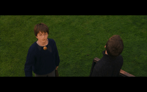 Harry Potter and the Sorcerer's Stone - 381