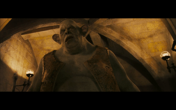 Harry Potter and the Sorcerer's Stone - 411